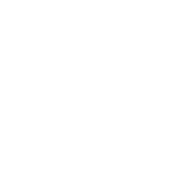 Logo Website